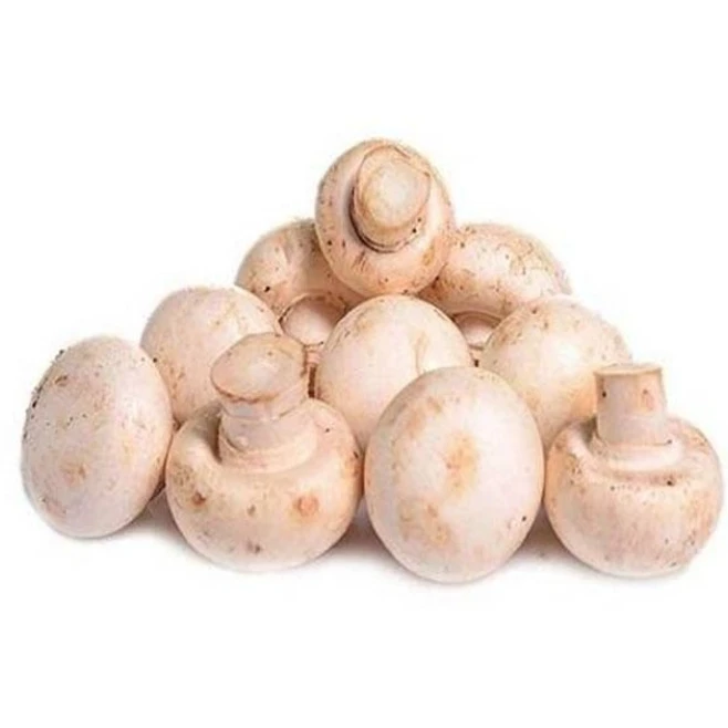 口蘑 约250g