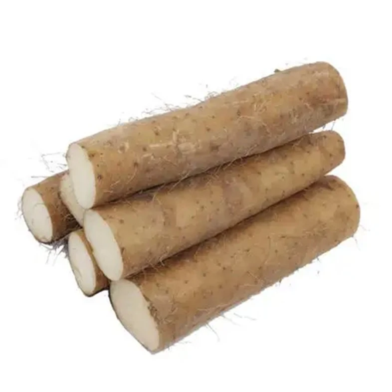 【折扣钜惠】山药 约500g