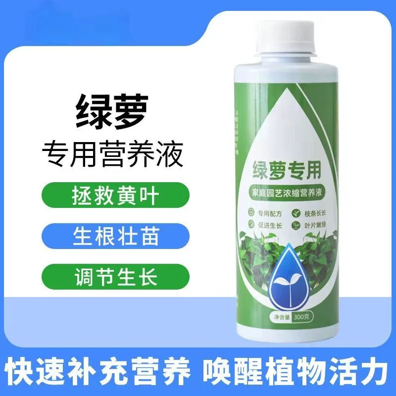 绿萝营养液生长增绿增肥专用肥料枯叶烂根一喷绿叶面肥养花通用型