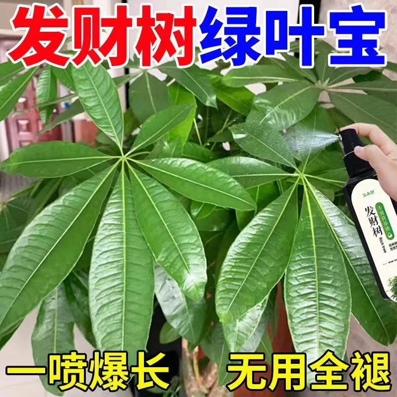 发财树营养液专用肥料一喷绿生根壮苗盆栽液体肥植物营养液花肥