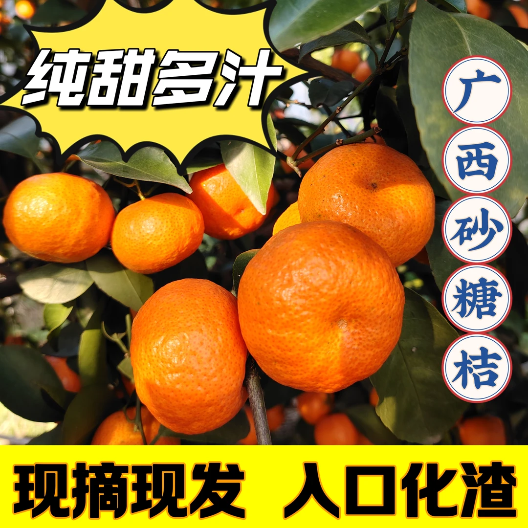 正宗广西砂糖橘年货当季新鲜采摘水果沙糖桔柑橘皮薄香甜多汁橙红