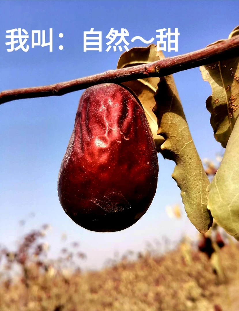 枣王(和鸡蛋一样大小)4.5-6厘米和田大枣不清冼不加工孕妇可食