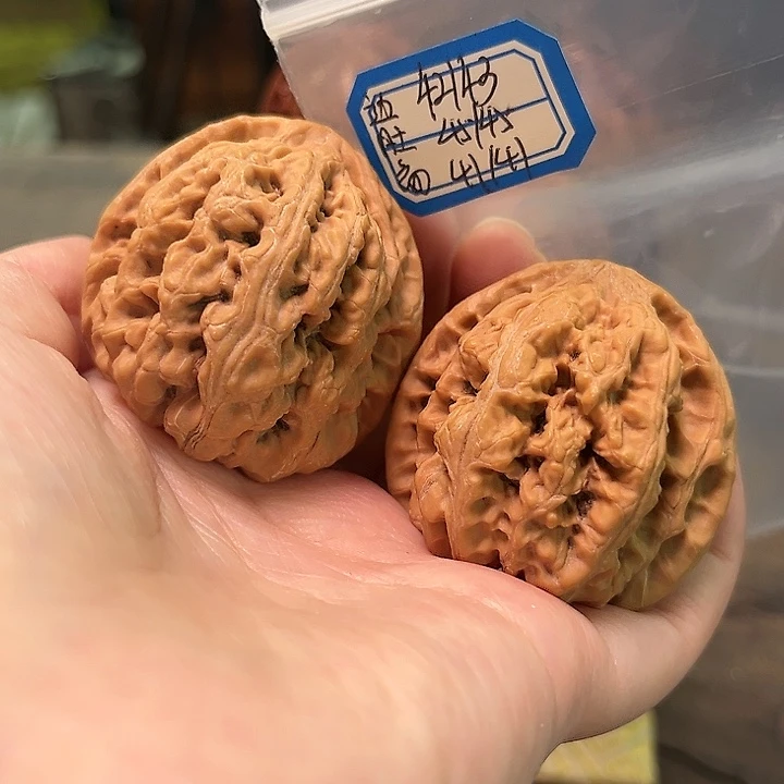 文玩核桃把件非嫁接大粗筋有修