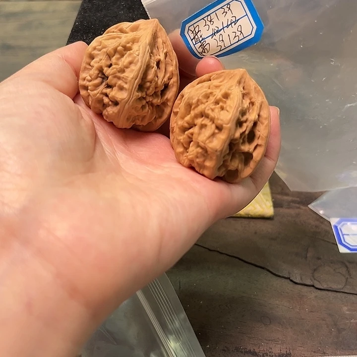 文玩核桃把件马蹄有修