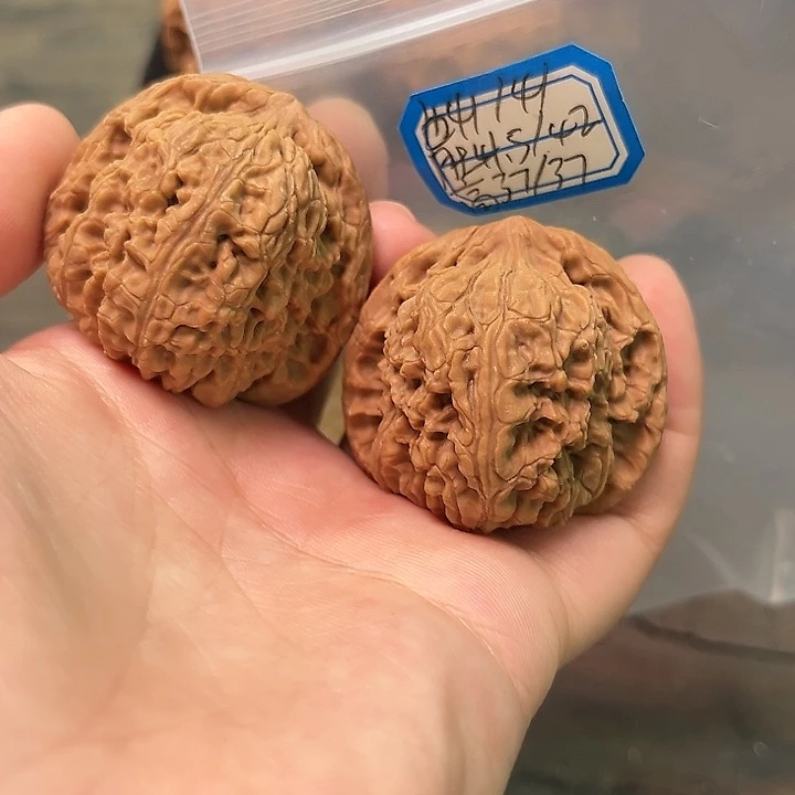 文玩核桃把件赵喜满南将石