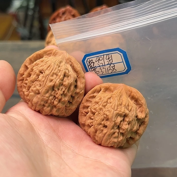 文玩核桃把件望月有修