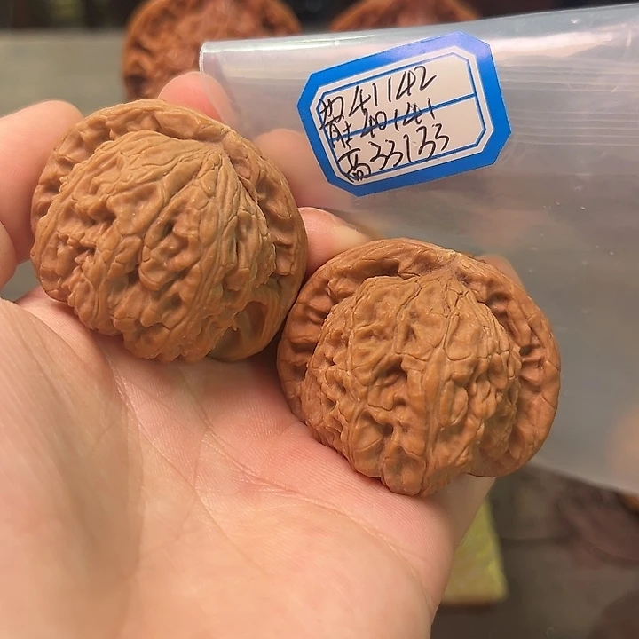 文玩核桃把件白狮子微修