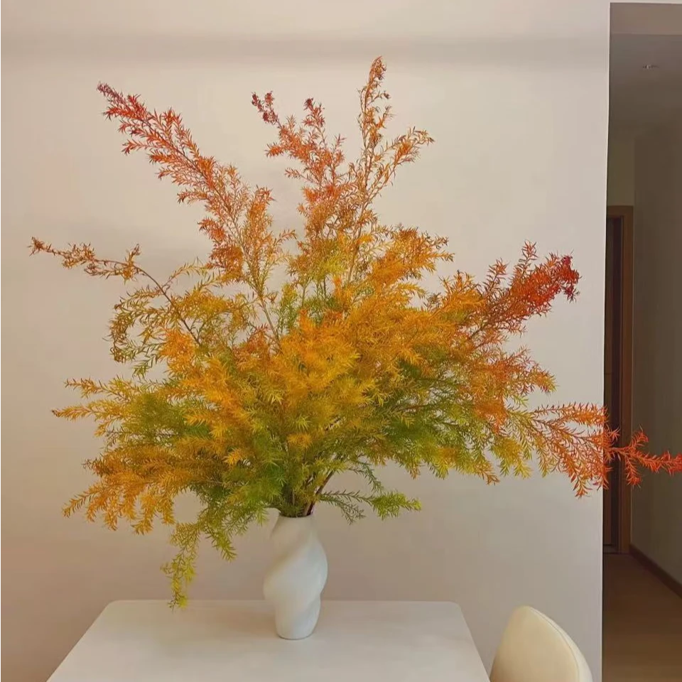 鲜花-千层金（童话里秋天枫叶的美）