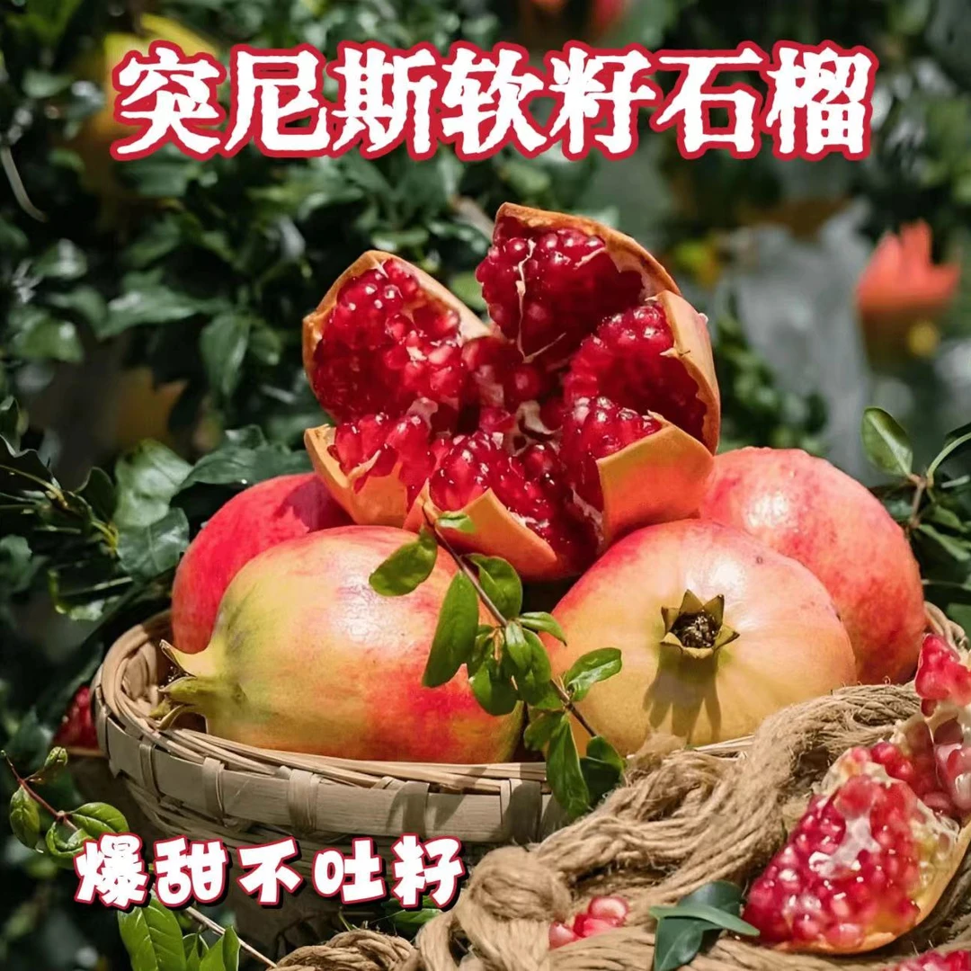 四川会理突尼斯软籽石榴5个装香甜多汁新鲜应季水果坏果包赔