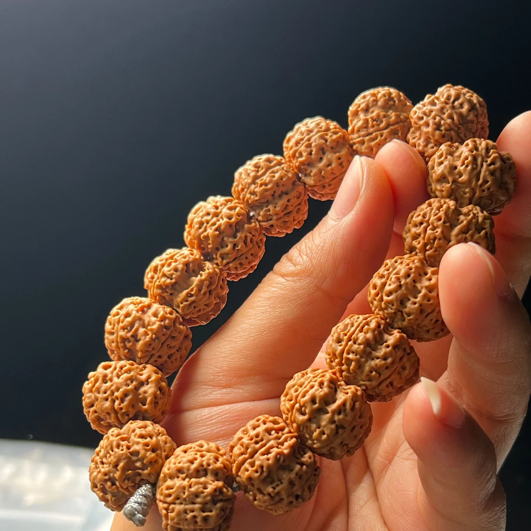 精灵梅花五瓣大金刚毕业款