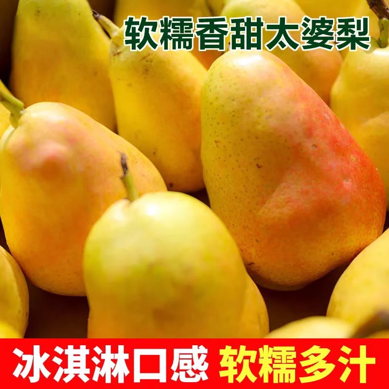【顺丰速发】甘肃天水香蕉梨太婆梨高山新鲜采摘老品种5斤9斤包邮
