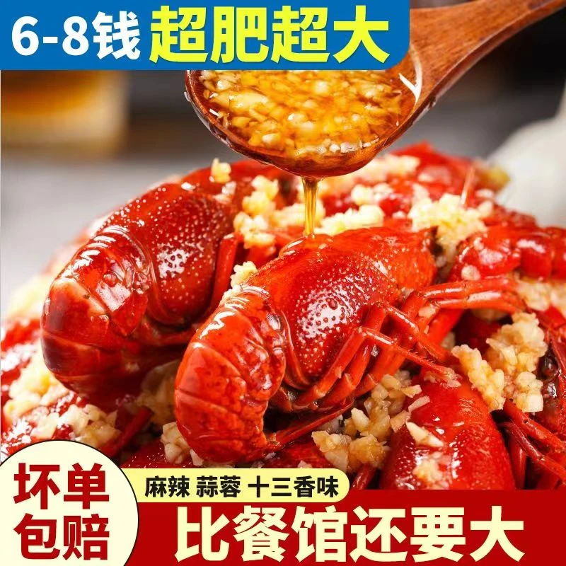 莱克麻辣小龙虾6-8钱每盒1.4斤/700g加热即食水产肉质饱满潜江虾