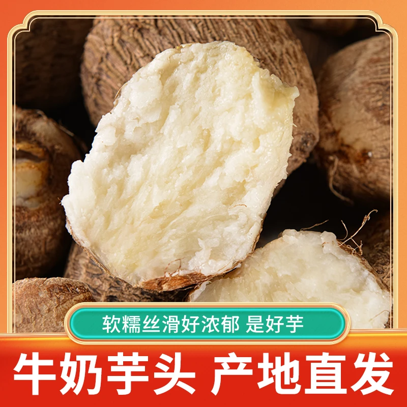 山东牛奶小芋头4.5斤装产地直发新鲜奶芋头新鲜蔬菜小香芋农产品