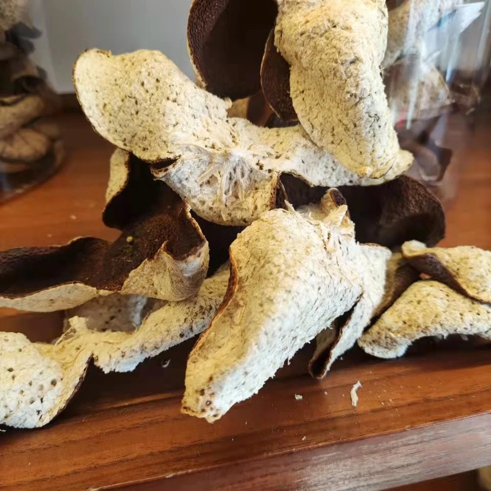 陈皮福利代替链接柑皮圈枝