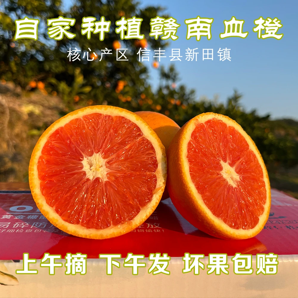 10斤包邮赣南血橙信丰血橙自家果园产地直发精品孕妇儿童新鲜水果