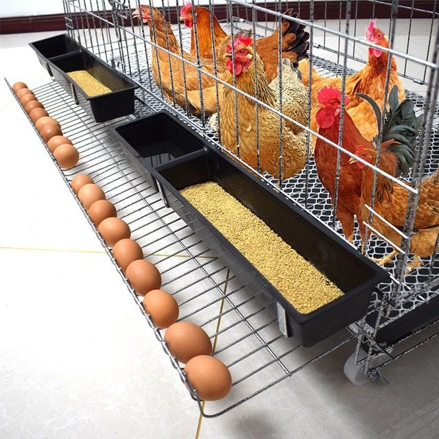 家用鸡笼子特大号加粗加密养殖笼可折叠拆卸下蛋笼楼顶户外养鸡笼
