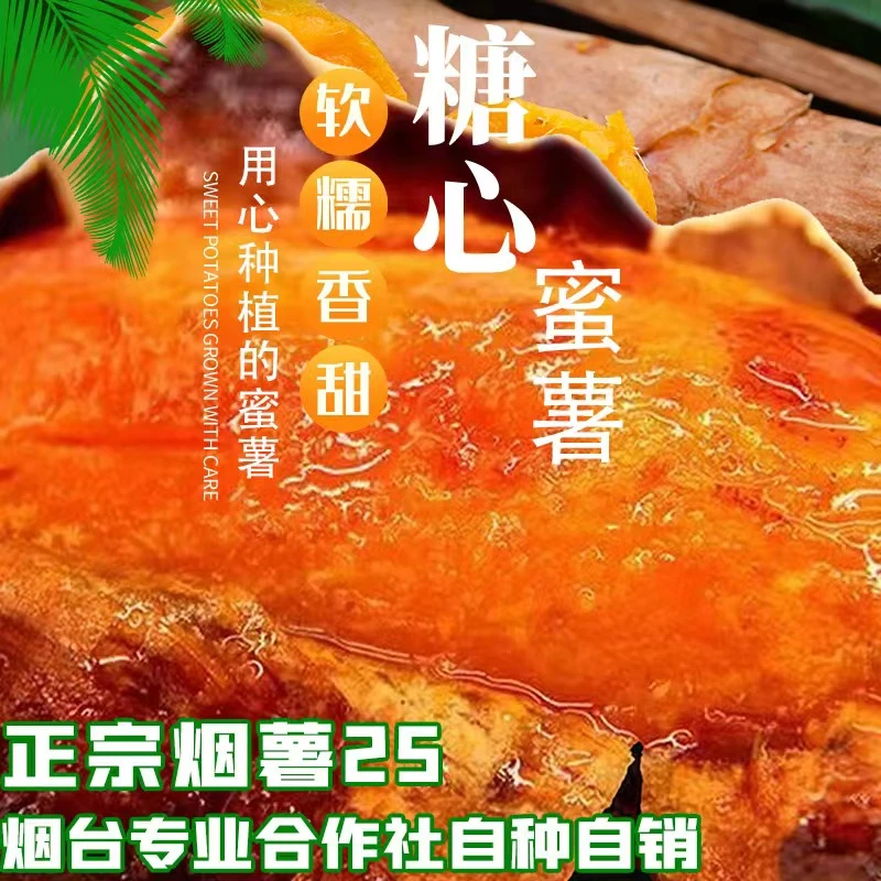 【坏果包赔】正宗烟薯红心25高品质烤红薯皮薄软糯香甜自种自销