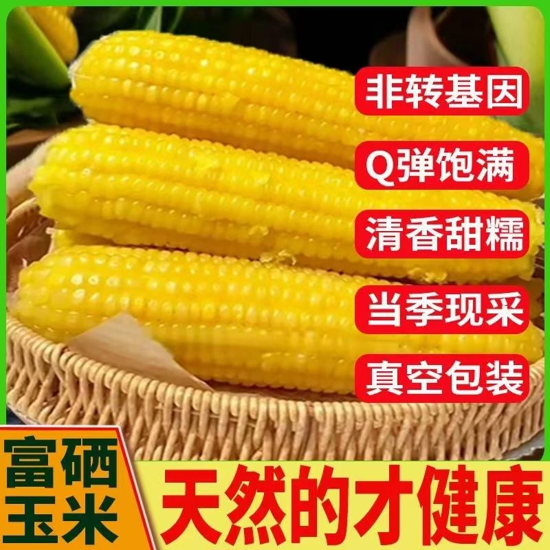 保质期至2024.10.28富晒玉米鲜食有嚼劲早餐代餐真空包装