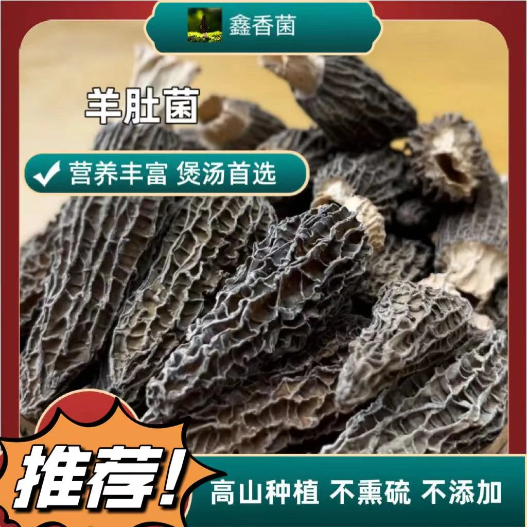 高山羊肚菌七妹手选5-7cm