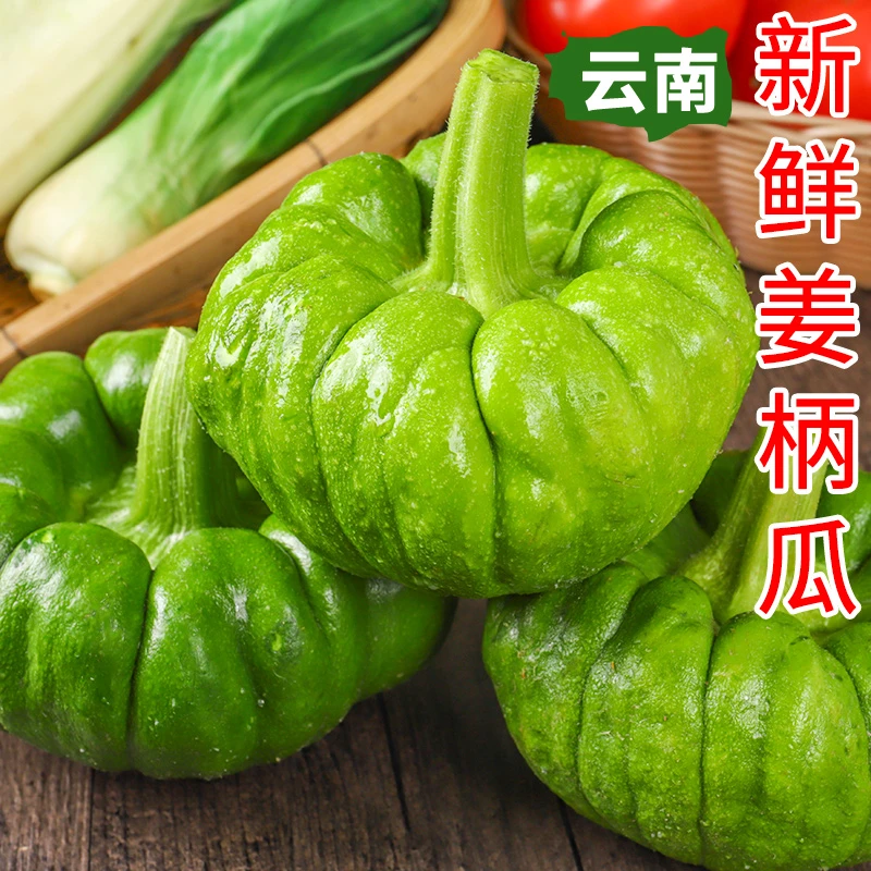 云南新鲜姜柄瓜小南瓜小麦瓜当季时令蔬菜脆嫩爽口