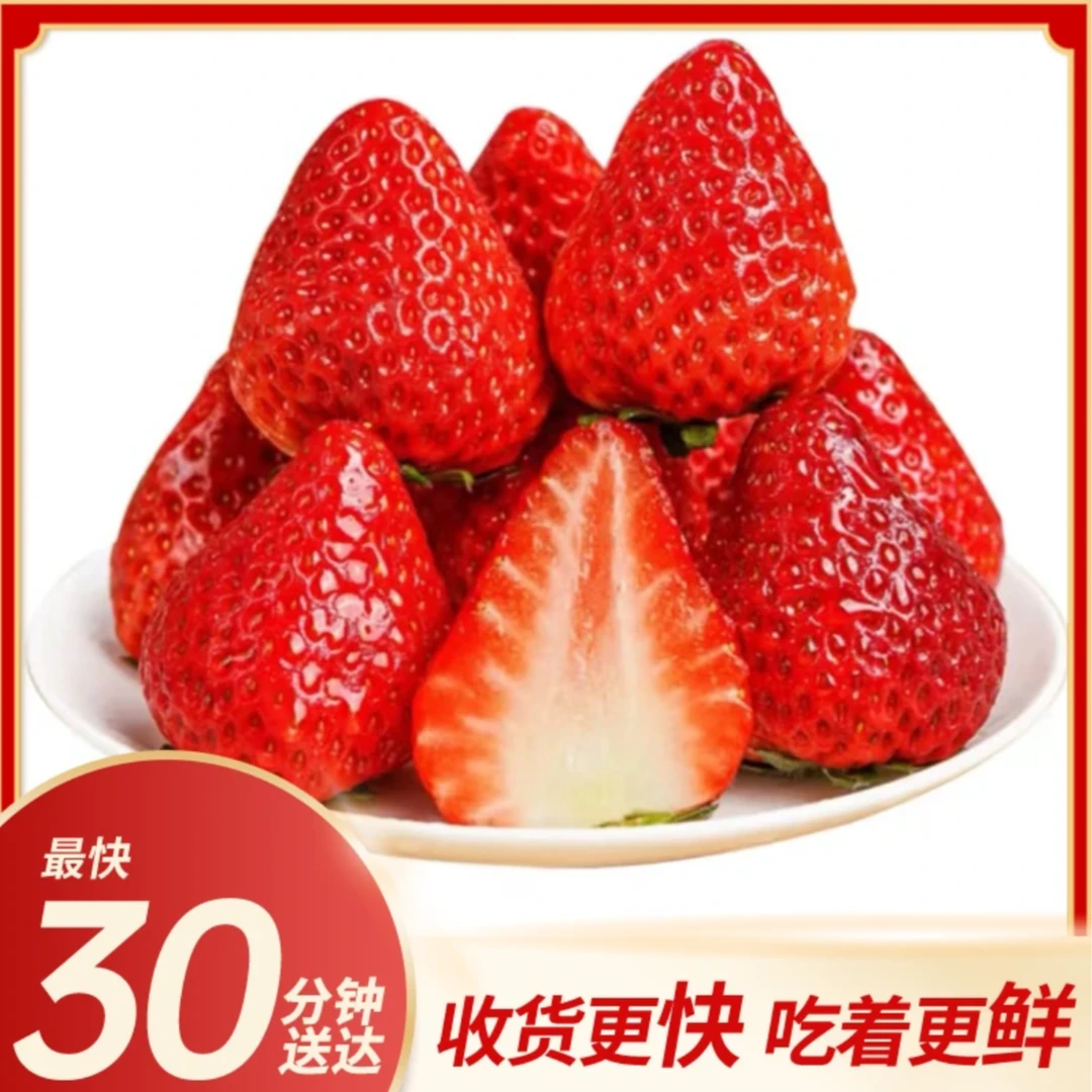 【当季新品】正宗丹东99草莓 新鲜香甜饱满 9甜1酸