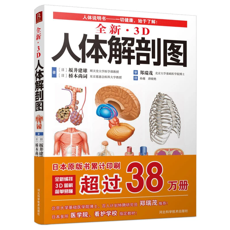 全新3D人体解剖图 人体肌肉解剖运动解剖学断层局部解剖学图谱解