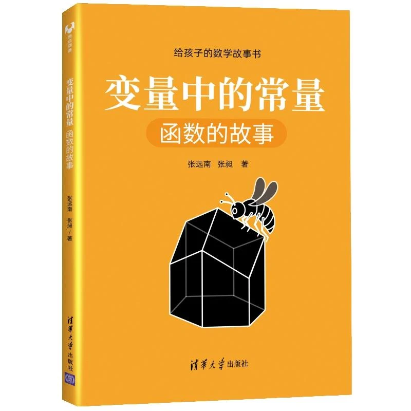 张先波老师推荐 变量中的常量 函数的故事 给孩子的数学故事书