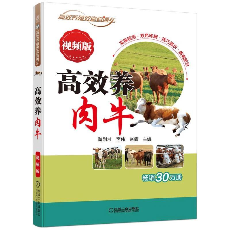 高效养肉牛 视频版 魏刚才 李伟 赵倩 高效养殖致富直通车 肉牛饲