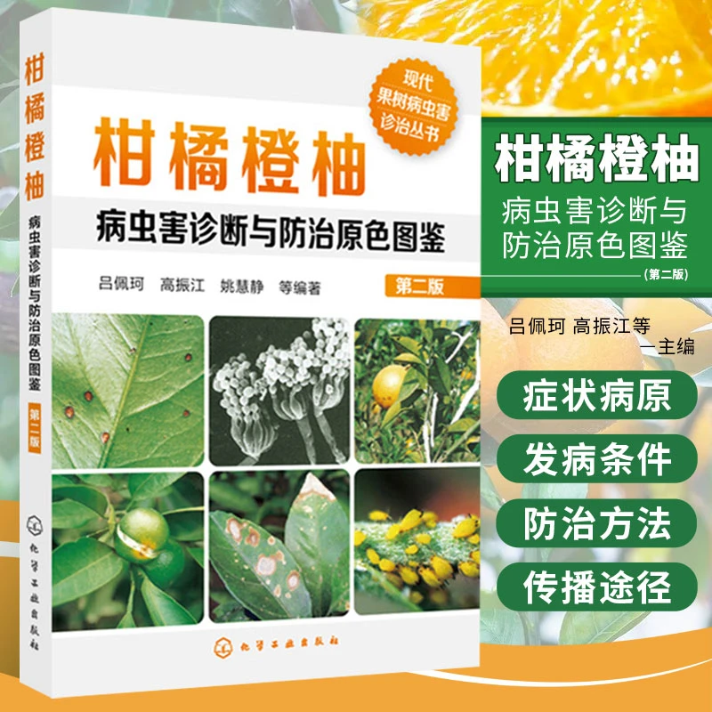 柑橘橙柚病虫害诊断与防治原色图鉴 柑橘种植技术果树大全书砂糖