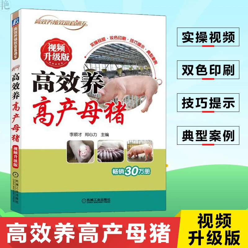 高效养高产母猪视频升级版现代实用养猪技术大全养猪技术书籍猪