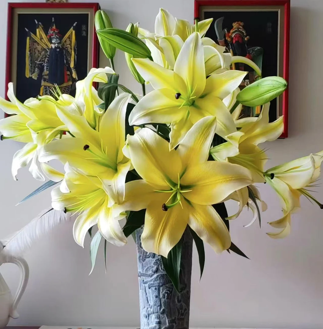 【黄天霸香水百合】 百合鲜花 云南鲜花一单普通快递2单顺丰