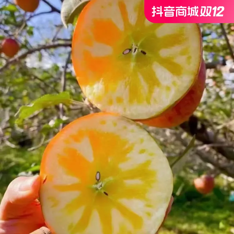 小凉山的糖心苹果