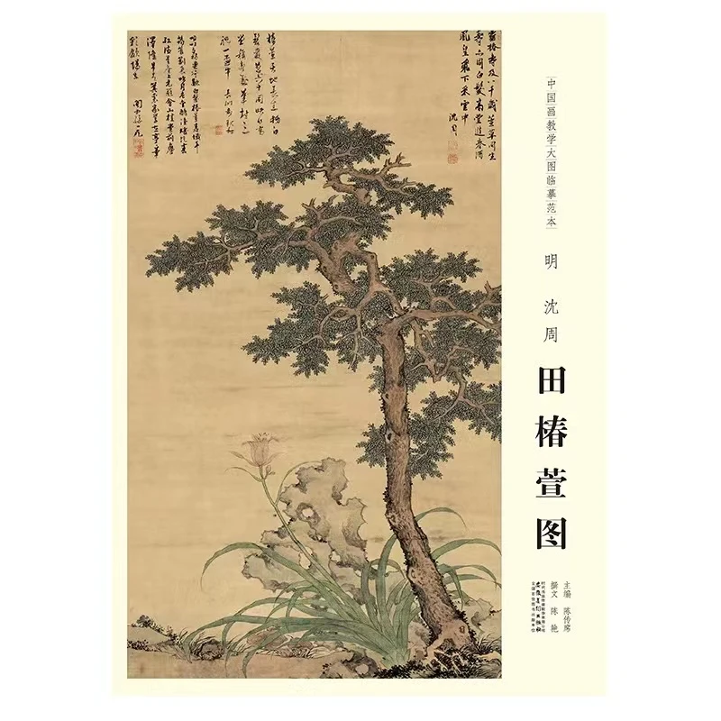 中国画教学大图临摹范本 明 沈周 田椿萱图 全新
