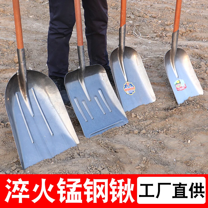 加大加厚平头煤锹超大号锰钢锹铲垃圾大铁铲清洁园艺工地通用农具