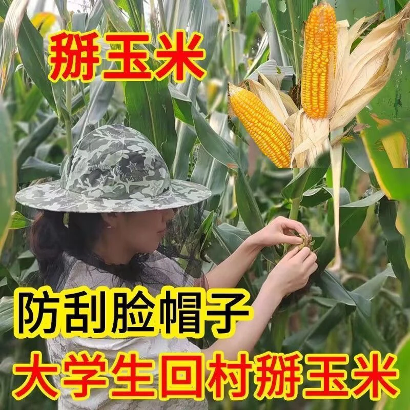 农活遮阳帽掰玉米专用帽子护脸防刮下地干活防护帽防虫防蚊防刮脸