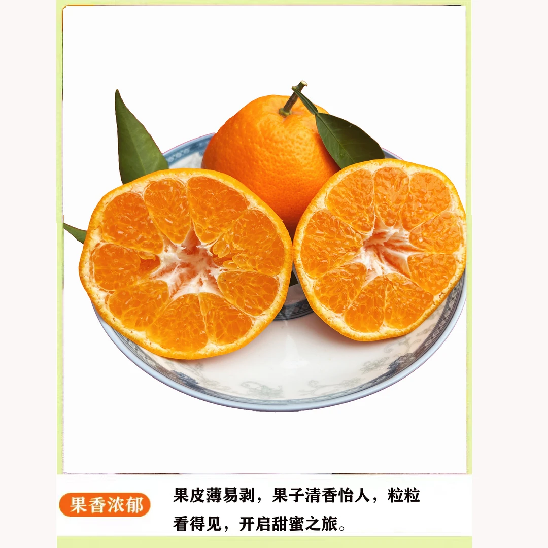 【砖石果王京东包邮】新鲜眉山春见耙耙柑 皮薄多汁甜蜜