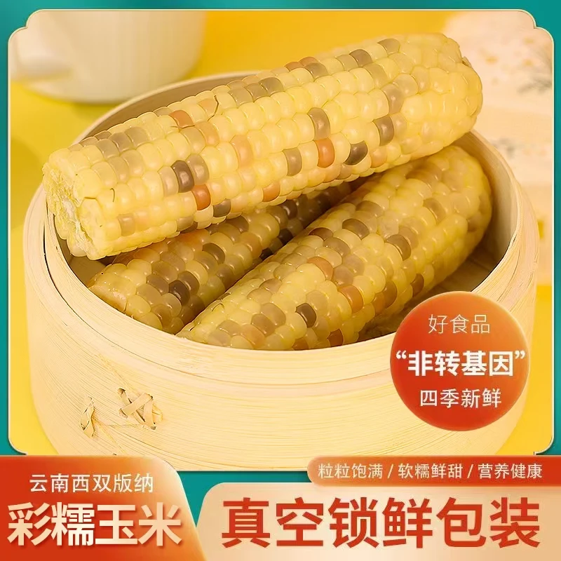 【猫逮甄选】云南西双版纳彩糯玉米三斤
