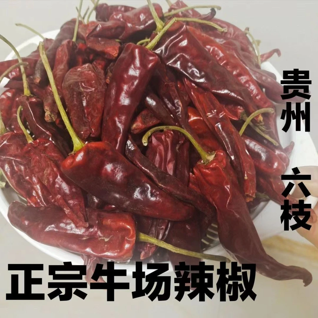 贵州六枝老品种牛场辣椒干辣椒干海椒皱皮辣椒大辣椒500g包邮