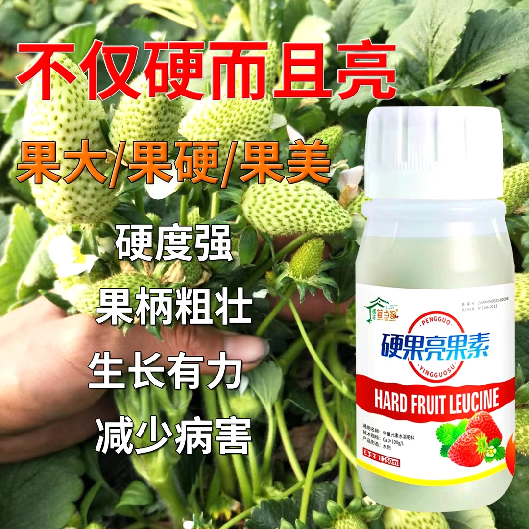 草莓硬果素硬果靓果草莓不软果不裂果草莓专用钙