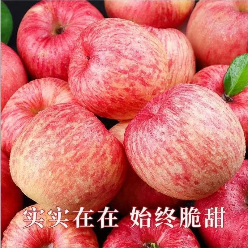 【正宗】陕西苹果红富士水果脆甜当季新鲜水果非丑苹果新鲜采摘二斤