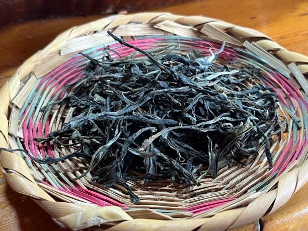 2022年头春头采昔归古树生茶500克➕20克茶样