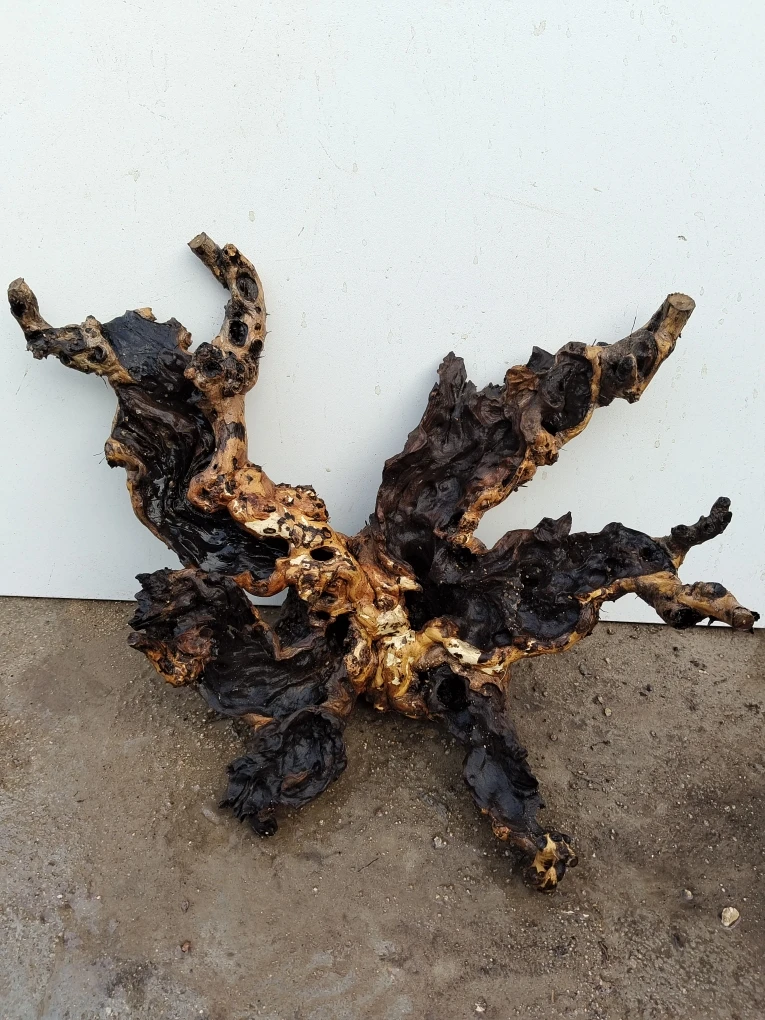 太白山黄荆老桩，一物一拍，物美价傔