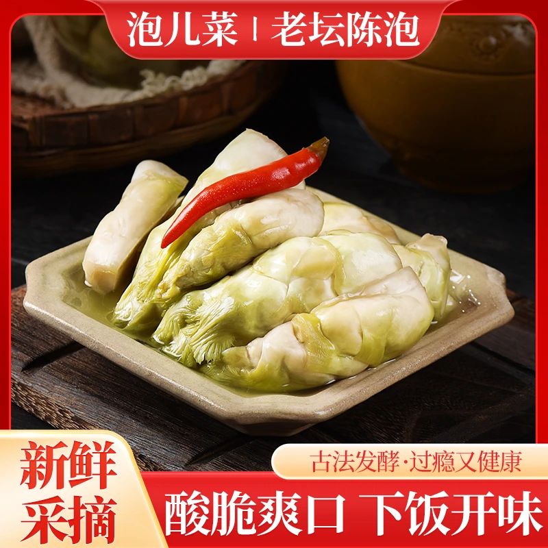 2024年新鲜坛装泡儿菜四川泡菜脆爽泡菜腌菜娃娃菜咸菜开胃下饭菜