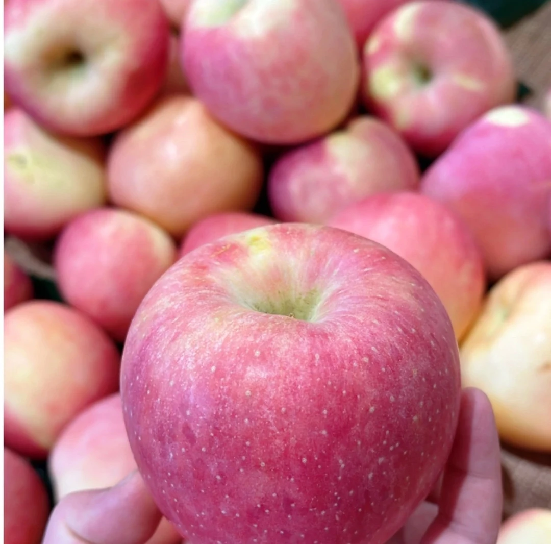 洛川苹果9.9元/斤