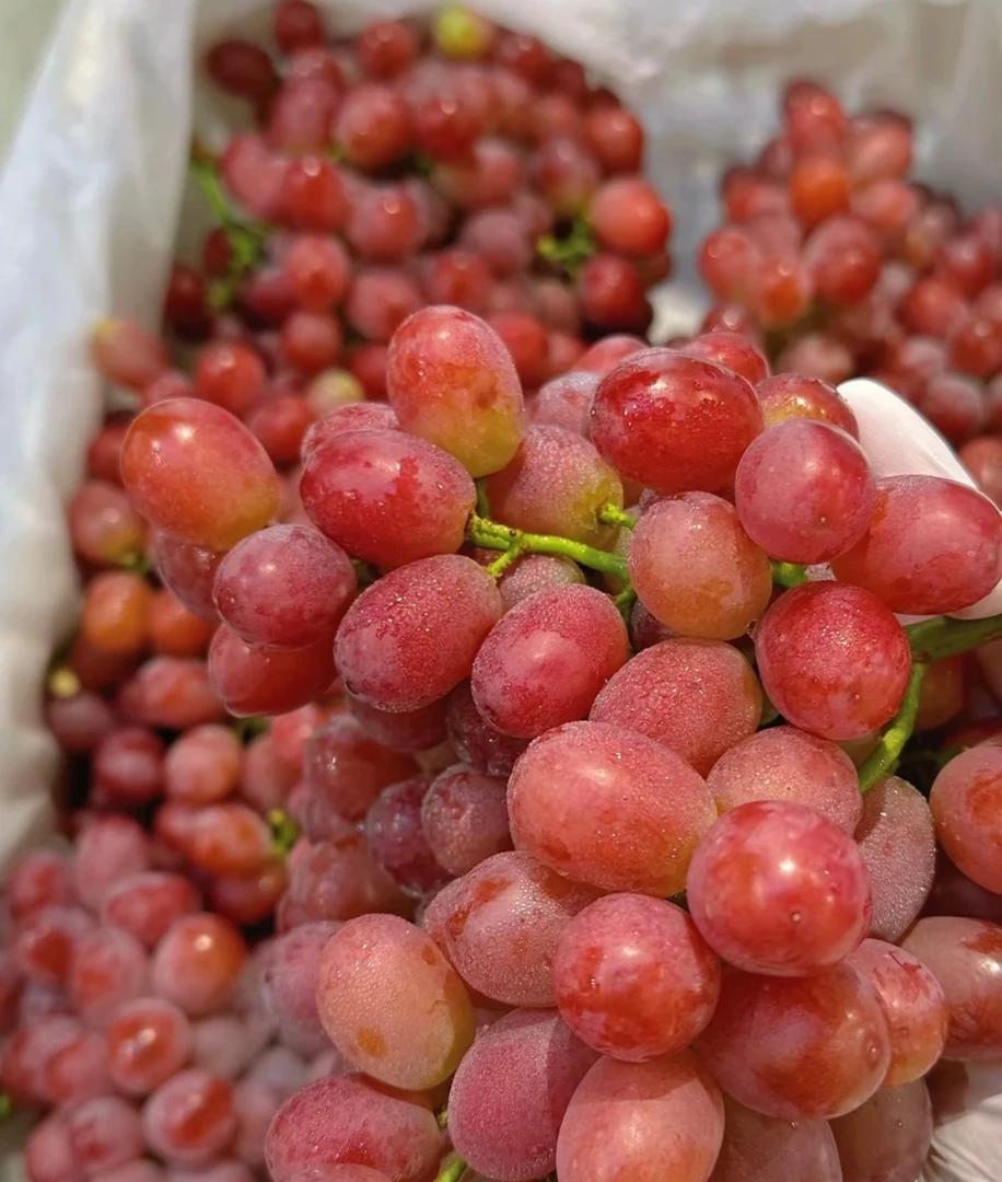 无籽红提12.8元/斤