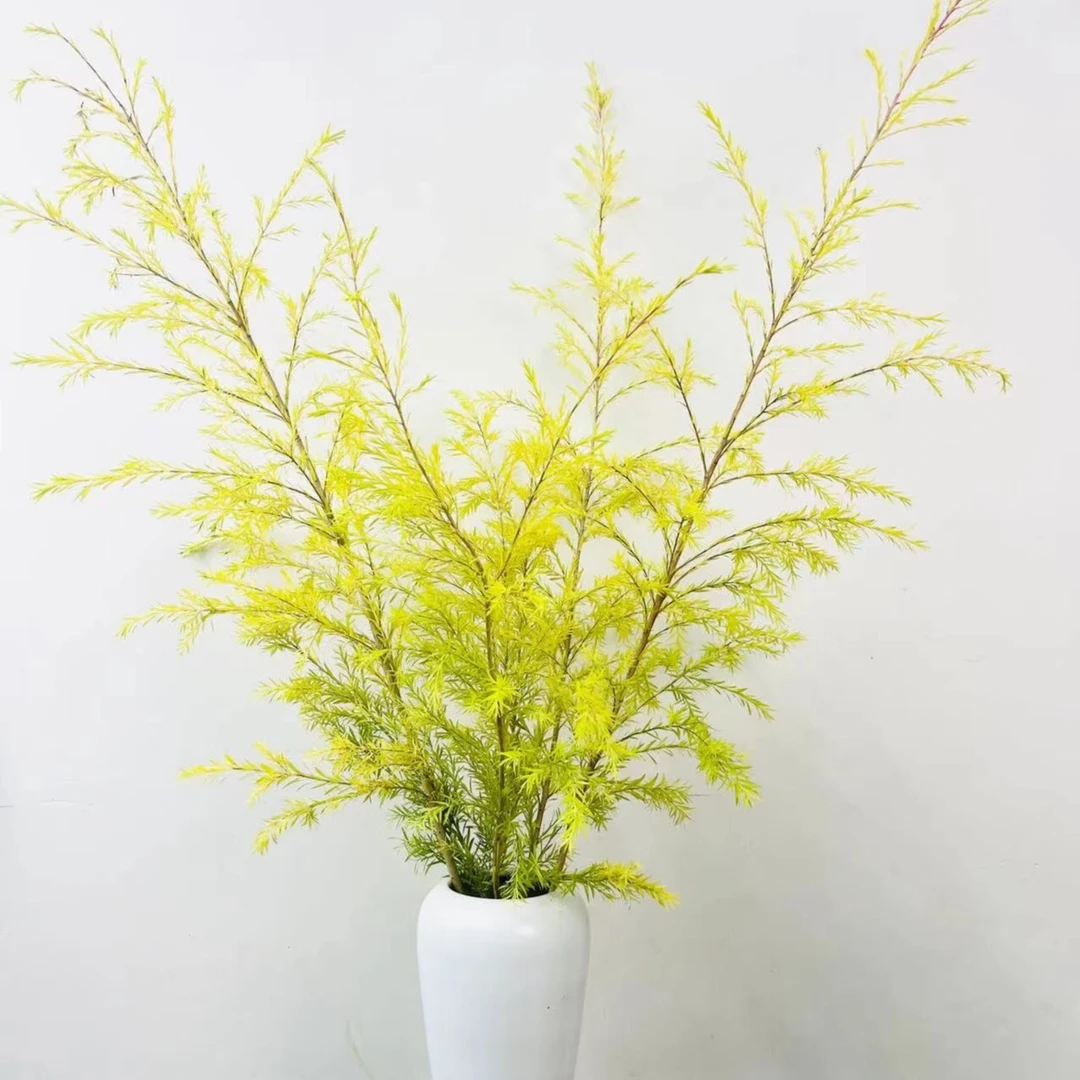 千层金  香柳渐变色配叶鲜切花枝条 家居插花