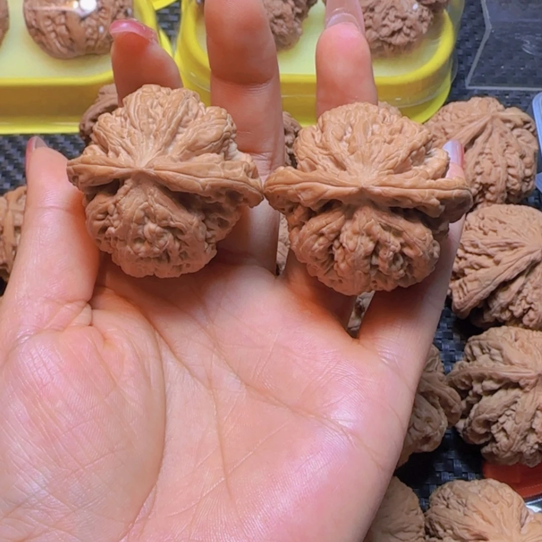 【闪购商品】桃核吊坠鲨***刺43全品粗筋