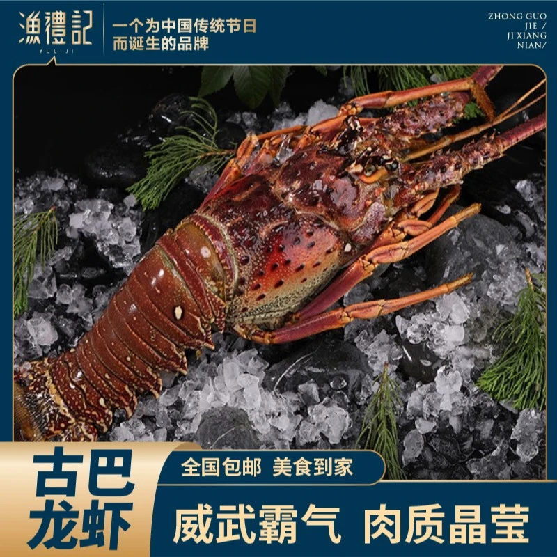 渔礼记生冻古巴龙虾