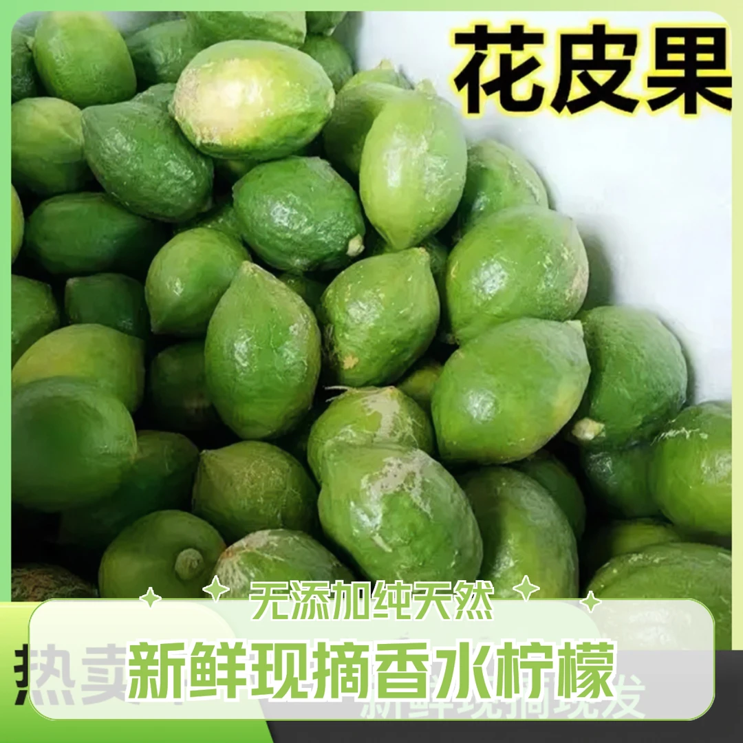 特惠香气爆香广东香水柠檬茶饮店专用产地种植新鲜采摘发货少花皮
