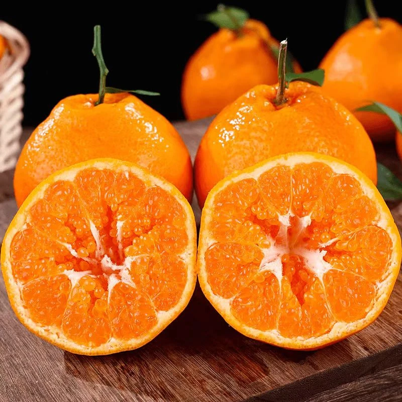 【坏果包赔】四川春见耙耙柑4.5斤装新鲜应季水果颗粒饱满多汁【DB】